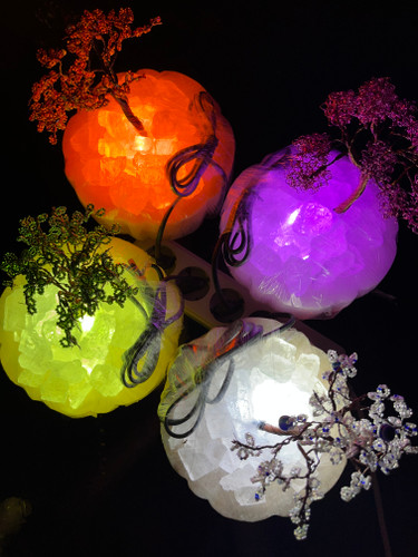 آباژور درخت در رنگهای مختلف