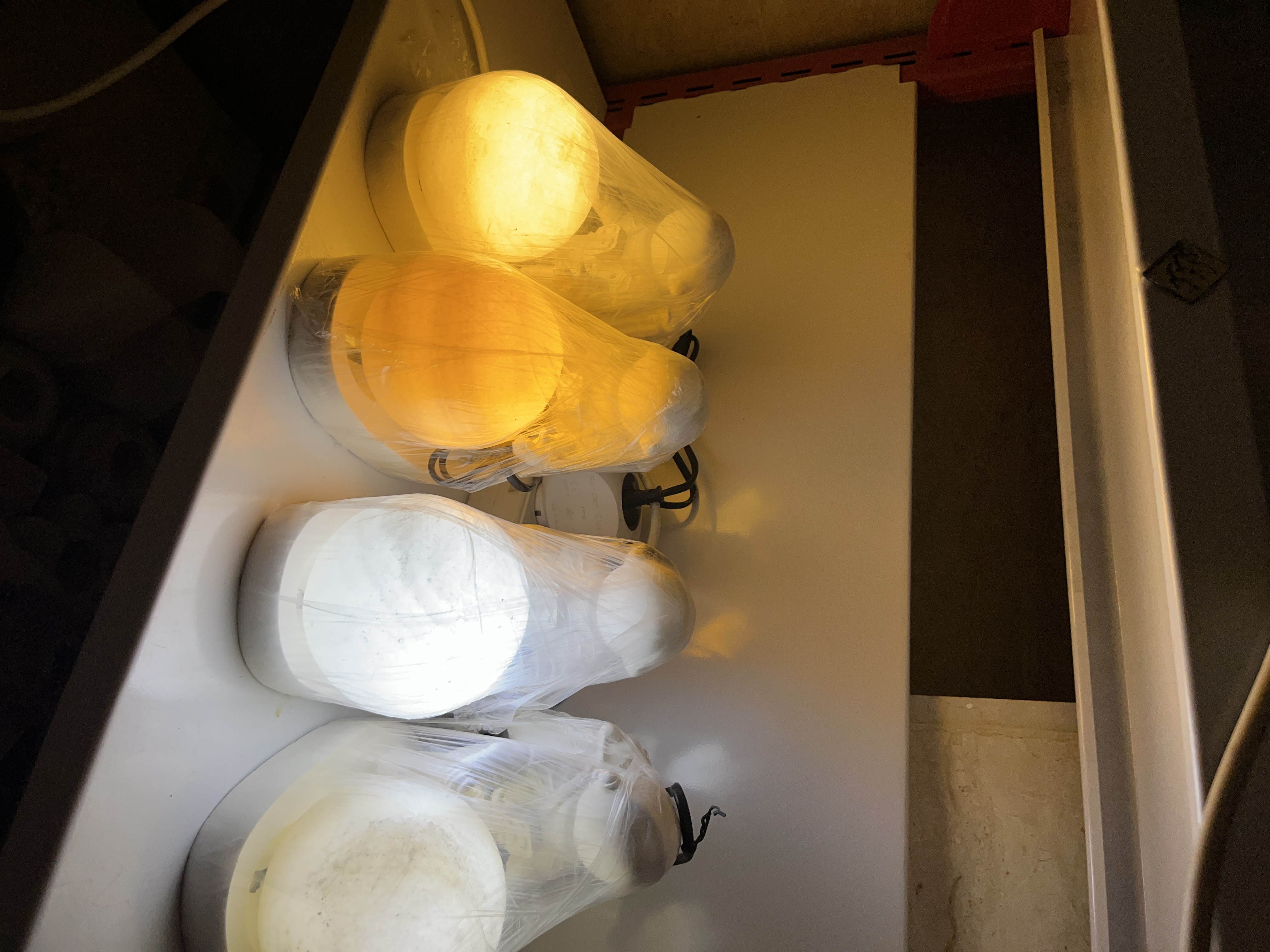 فضانورد نمکی