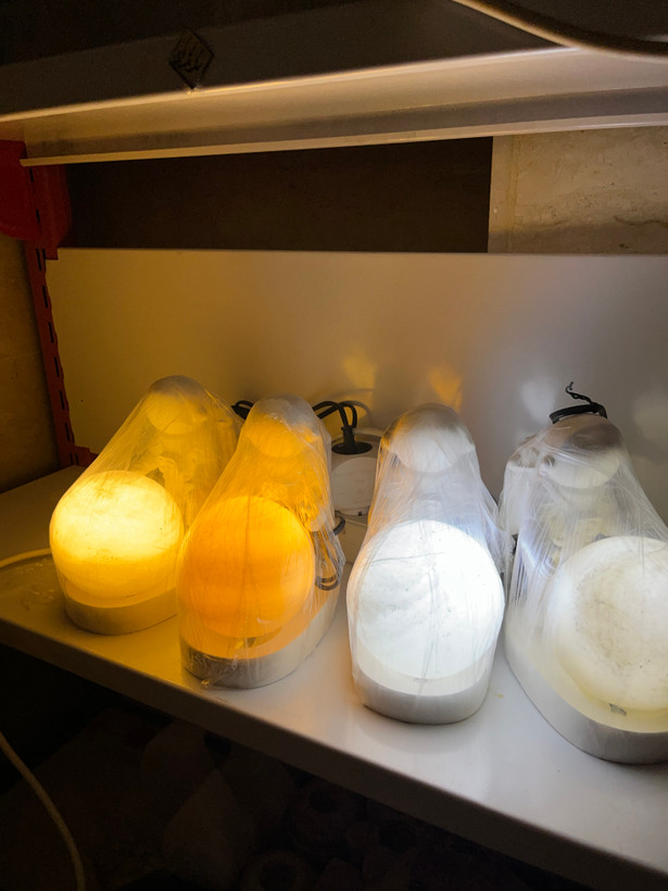 فضانورد نمکی