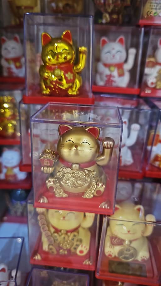 گربه شانس کوچک