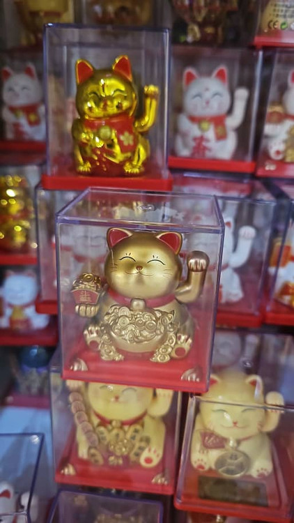 گربه شانس کوچک